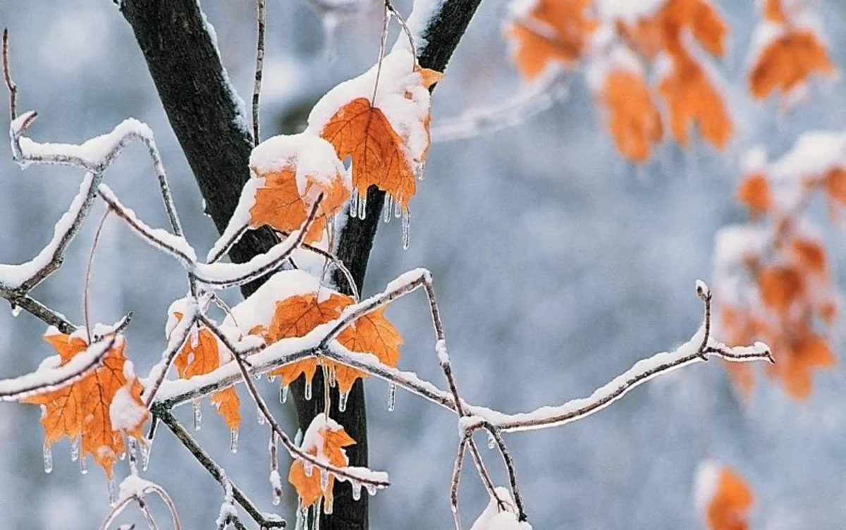 Sabaha olan hava proqnozu açıqlanıb