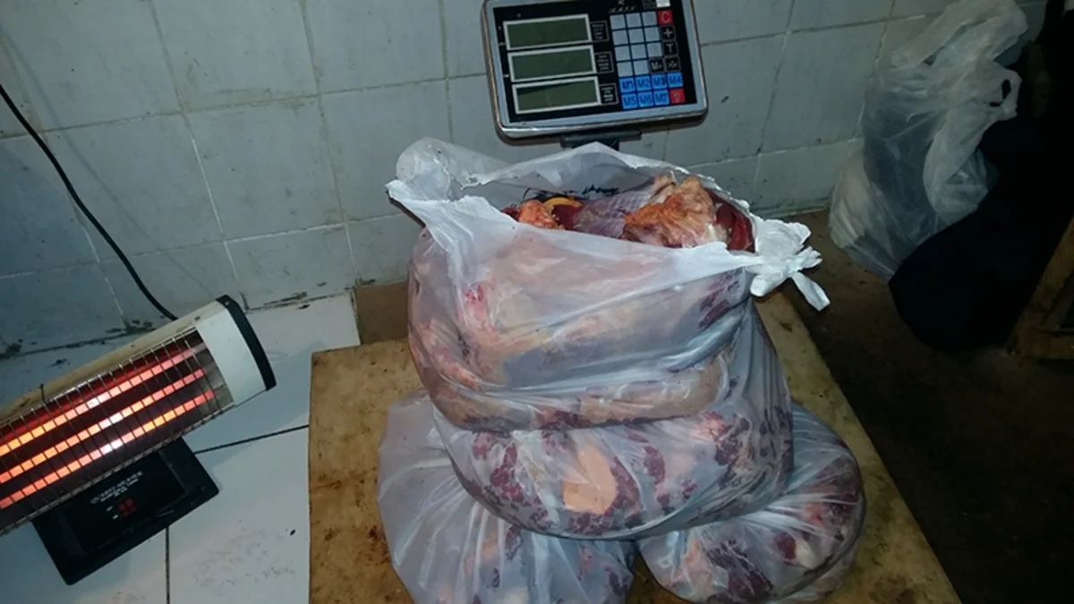 Təzə bazarda qanunsuz fəaliyyət göstərən sex aşkarlanıb