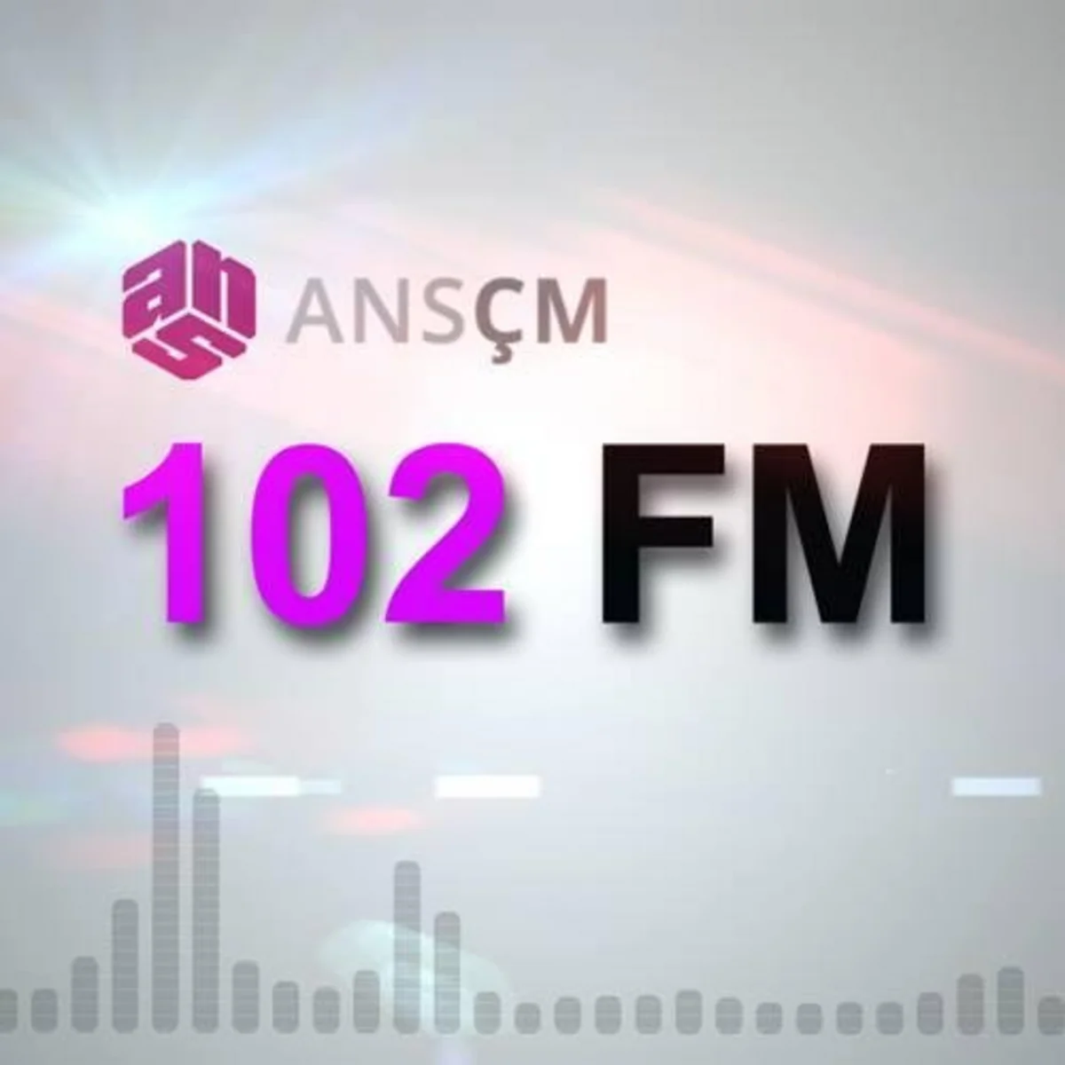 Reason for termination of ANS ÇM radio license unveiled