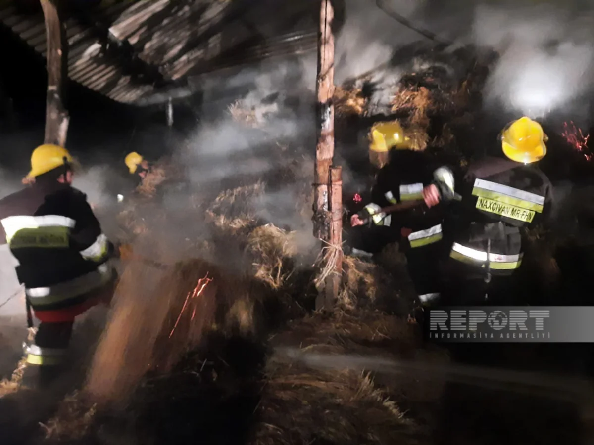 Şahbuzda ot bağlamalarında yanğın olub