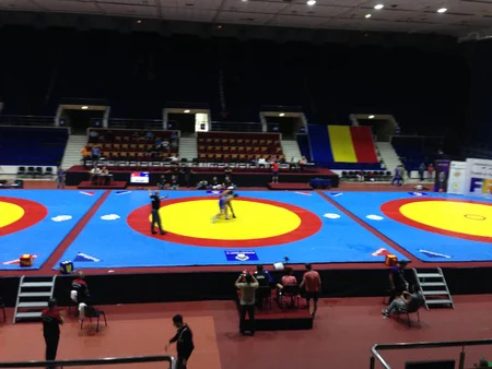 ​Rumıniyada güləş yarışında komandamız 3 medal qazanıb - FOTO