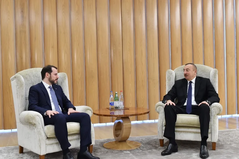 Prezident İlham Əliyevin Türkiyənin energetika və təbii sərvətlər naziri ilə görüşü olub