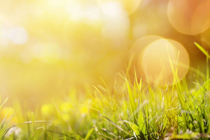 36 degrees of heat predicted on Sunday