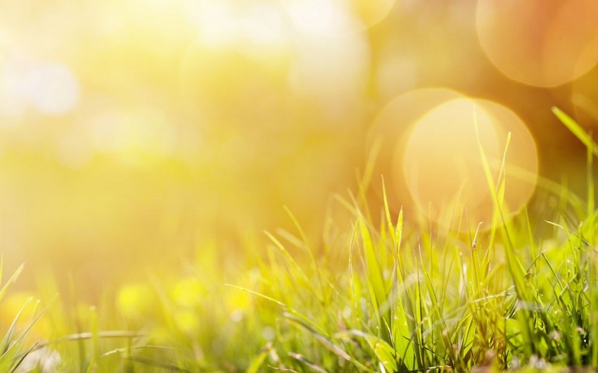 36 degrees of heat predicted on Sunday