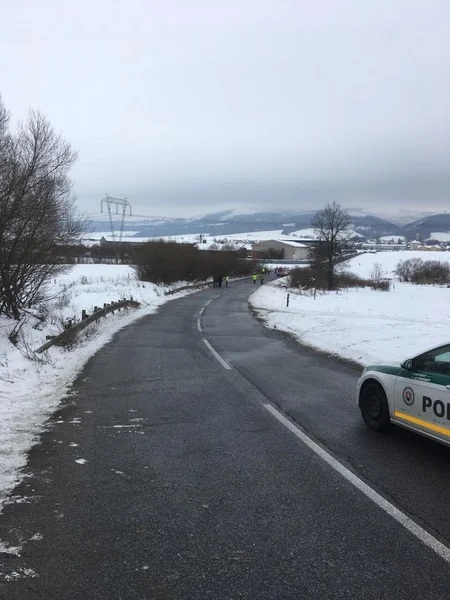 Slovakiyada böyük uşaq qrupunu maşın vurub, 12 yaralı var
