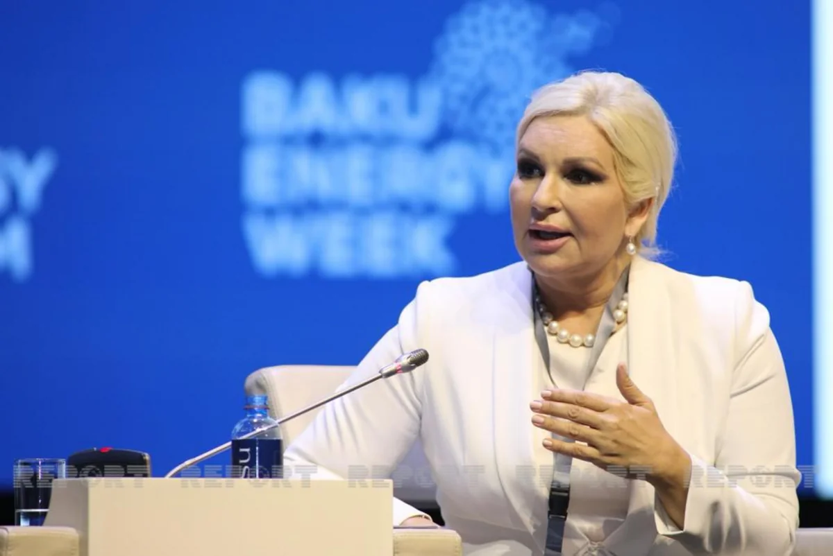 Serbiya enerji nəqlinin şaxələndirilməsində Azərbaycana ümid bəsləyir