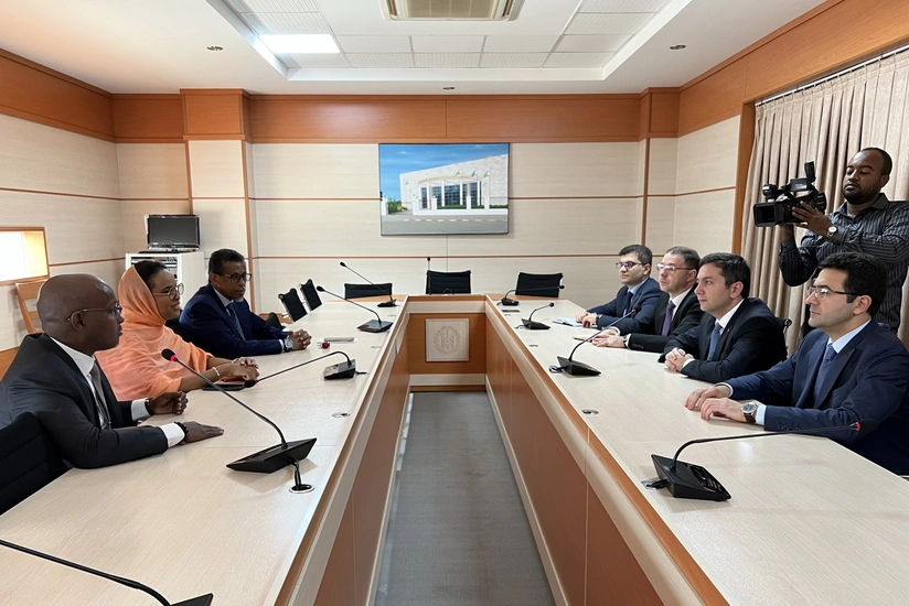 Azerbaijan, Djibouti hold political consultations