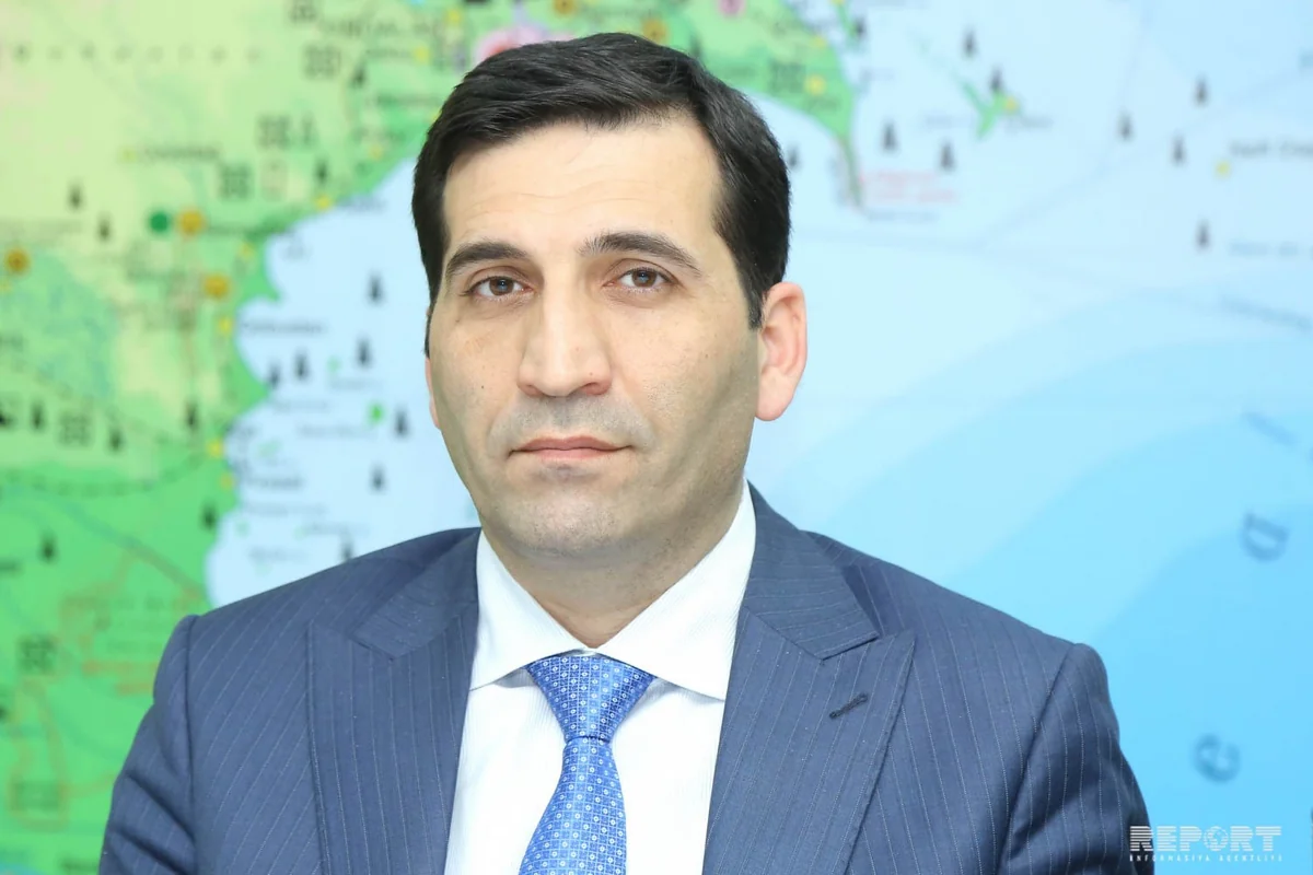 Nazirlik: Bakıda daha bir ərazidən ağaclar köçürüləcək
