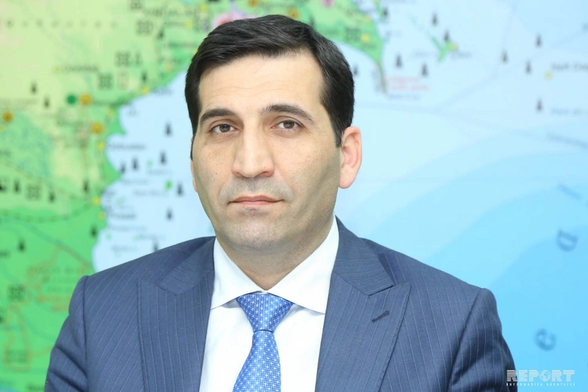 Nazirlik: Bakıda daha bir ərazidən ağaclar köçürüləcək