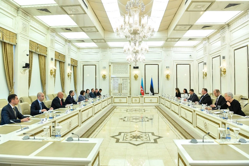 Sahibə Qafarova Estoniya parlamentinin spikeri ilə görüşüb