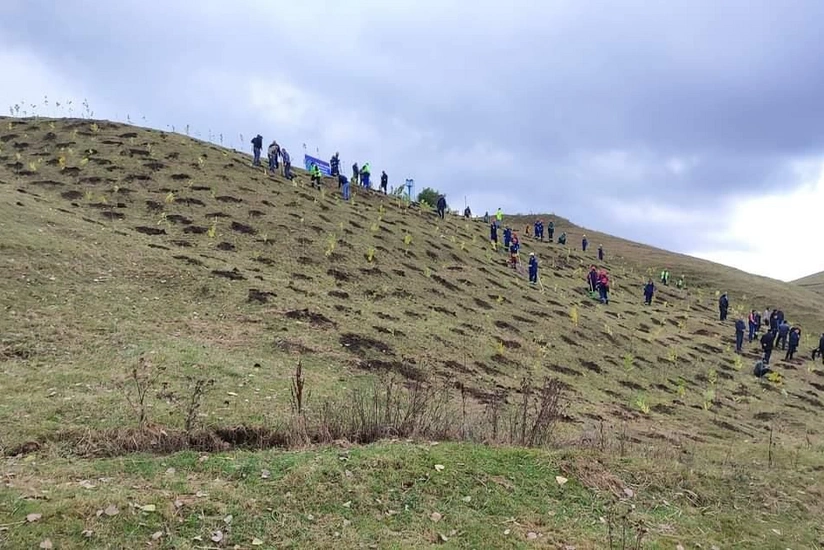 Gədəbəydə 10 mindən çox ağac əkilib