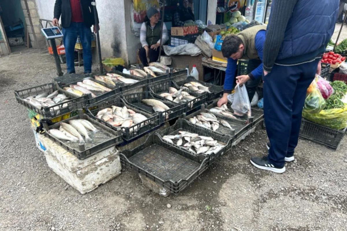AQTA Tovuzda bazarda nöqsanlar aşkarlayıb