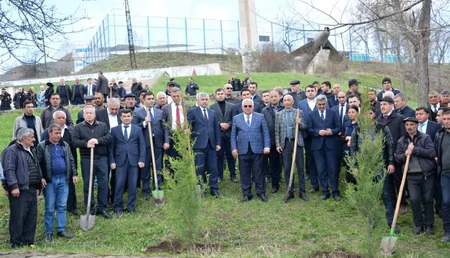 Daşkəsəndə Heydər Əliyevin 100 illiyi münasibətilə ağacəkmə aksiyası keçirilib