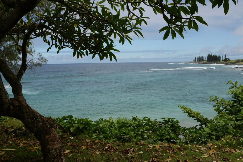 Hawaii opens evacuation shelters after dam breach on Maui island