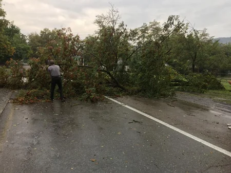 Sel suları Qəbələdə yol infrastrukturuna ziyan vurub