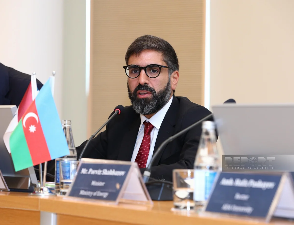 SOCAR: Energy transition requires cooperation of all interested parties