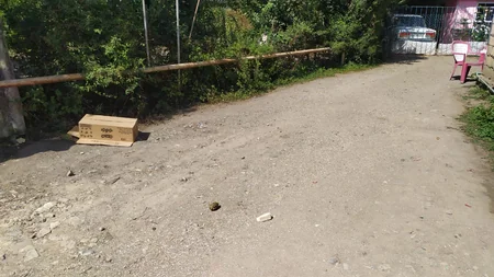 Astarada qumbara tapılıb