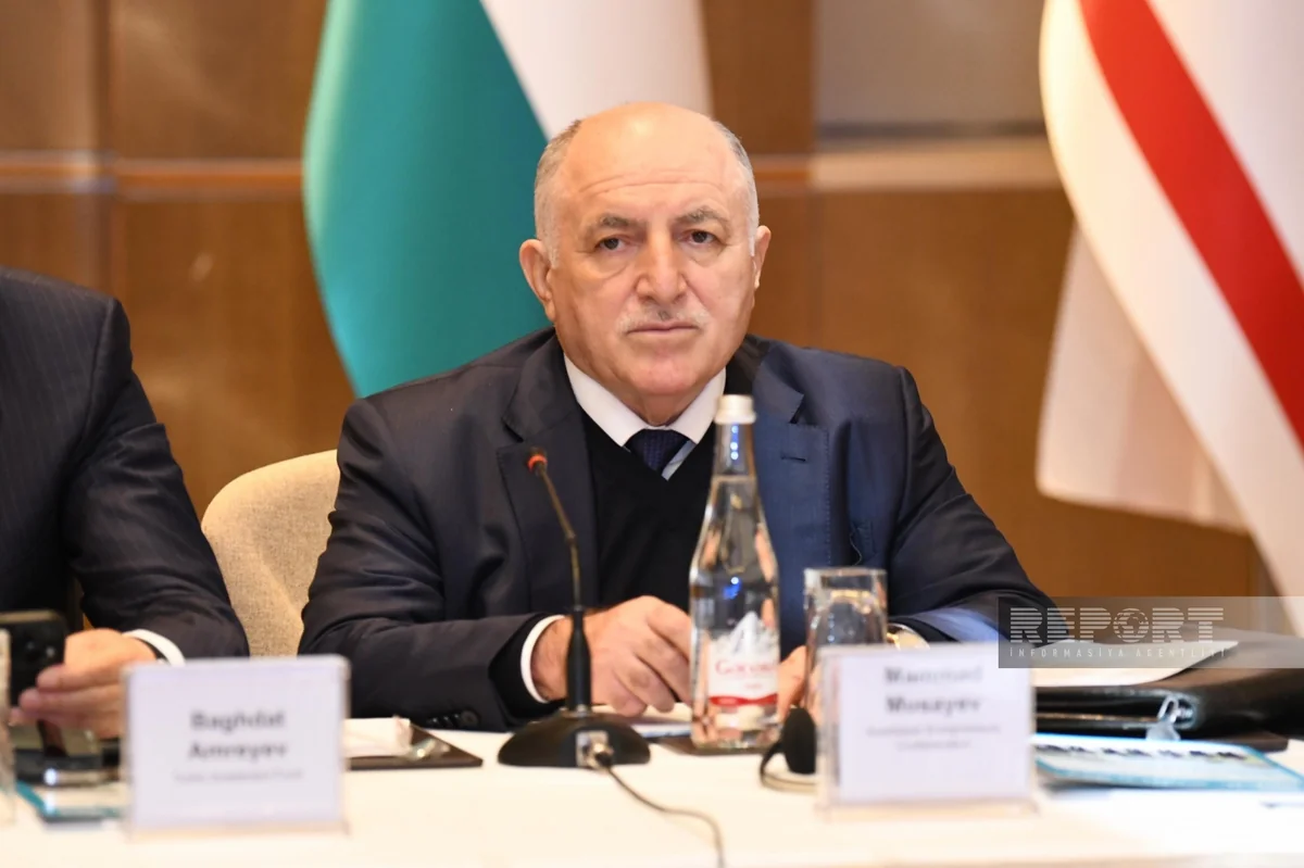 Azerbaijani official: Share of OTS countries in global GDP in 1H24 was 1.7%