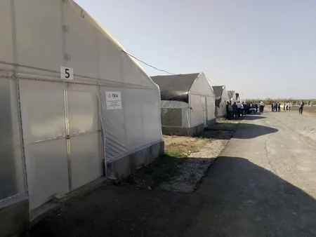 Cocuq Mərcanlıda istehsal edilən məhsulların satışına başlanılıb
