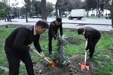 Dövlət Xidməti növbəti dəfə ağacəkmə aksiyası keçirdi