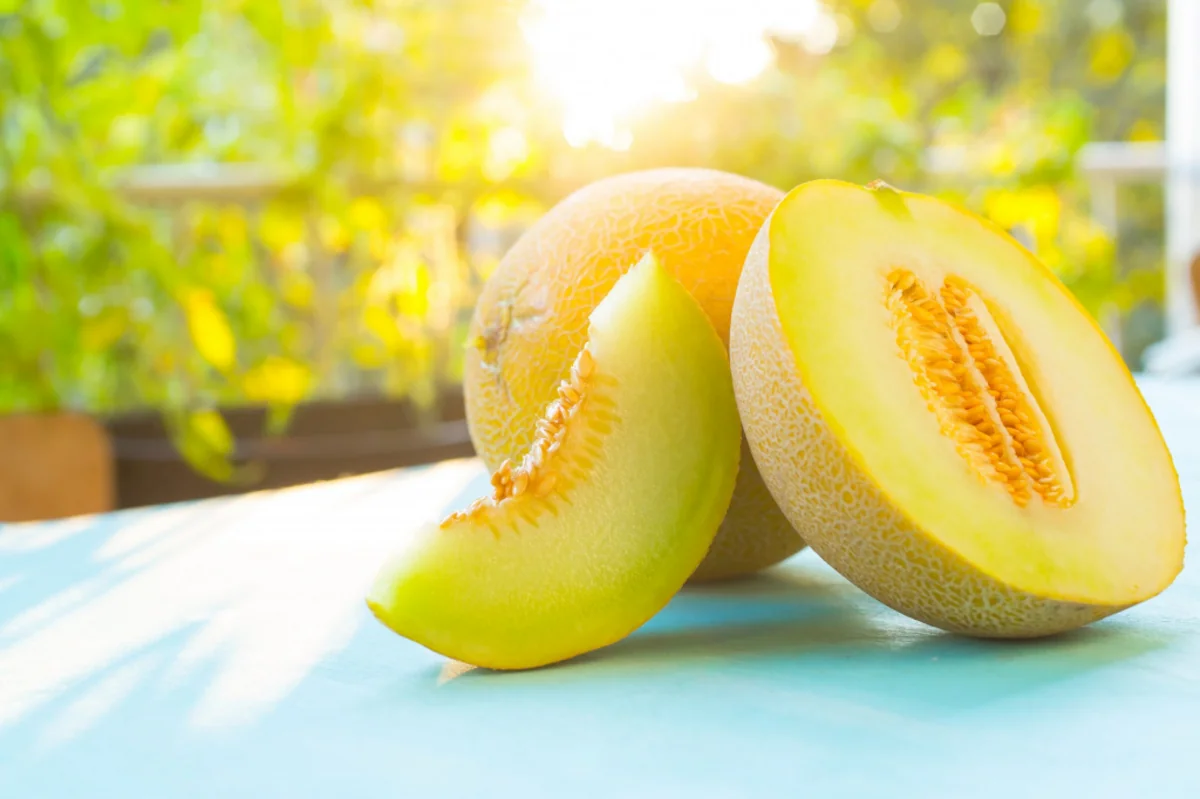 Azerbaijan resumes melon exports to Belarus