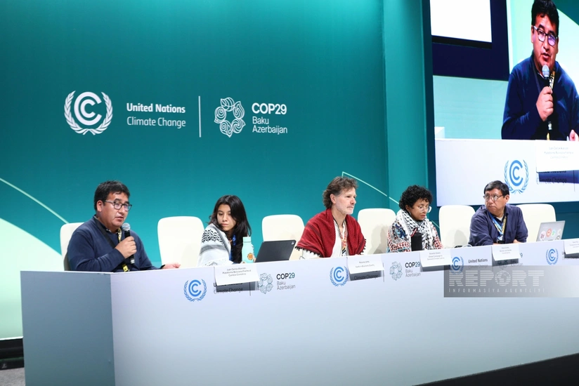 COP29-da Latın Amerikası ölkələrində iqlim dəyişikliyi problemi müzakirə edilib