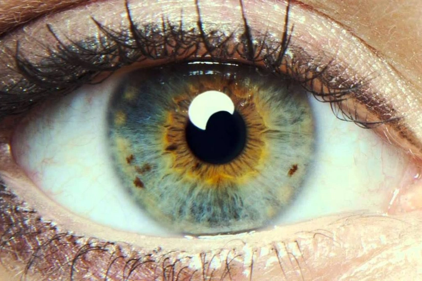 Врачи научились предугадывать скорую смерть пациента по глазам