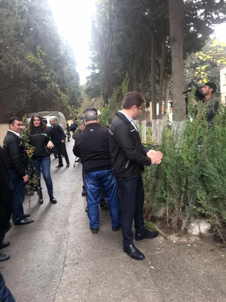 Bakıda yeni yaşıllıqların salınması məqsədilə vətəndaşlara pulsuz tinglər paylanılıb
