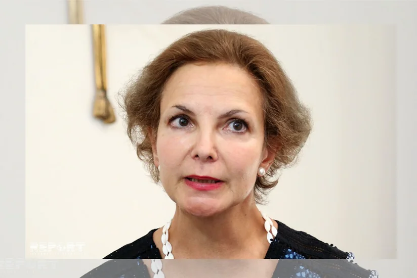 Ambassador: French enterprises ready to support diversification process in Azerbaijan's economy - INTERVIEW