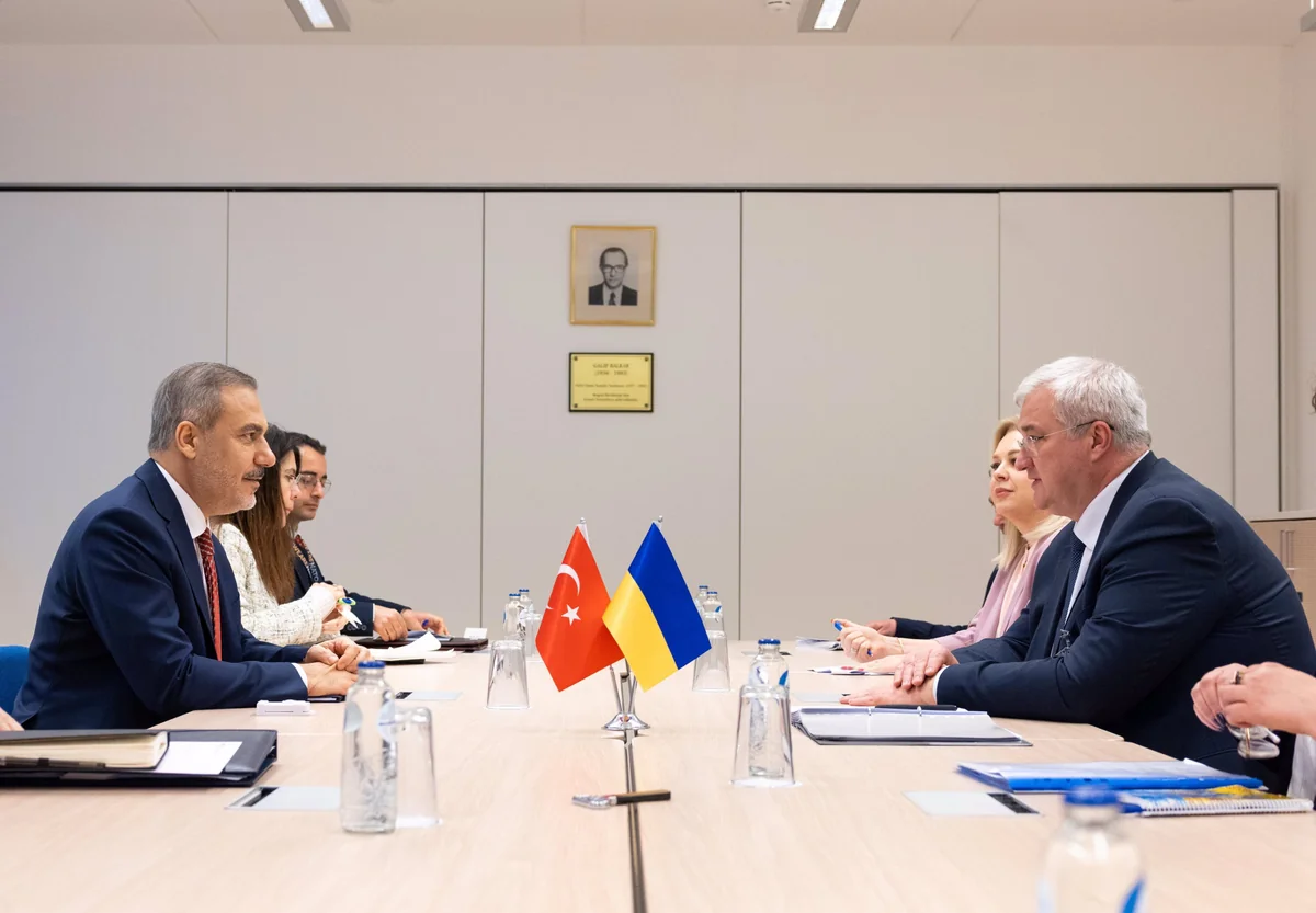 Состоялась встреча глав МИД Турции и Украины