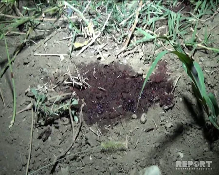 В Геранбое произошло тяжелое ДТП, есть пострадавшие