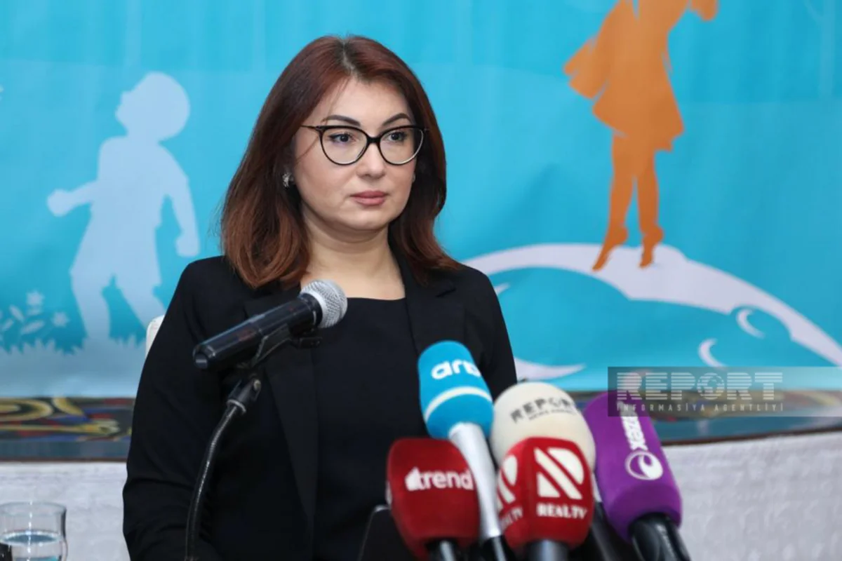 Şəfəq Hüseynli: Bəzi idman federasiyaları düzgün məlumatlar vermir