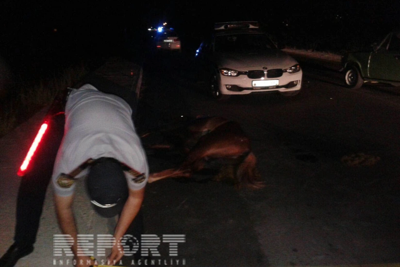 ​Ağdaşda maşın atlını vurub, 2 nəfər xəsarət alıb - FOTO