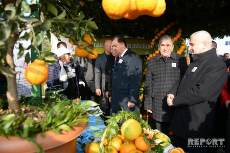 Lankaran hosts Tea, Rice and Citrus fruits Festival
