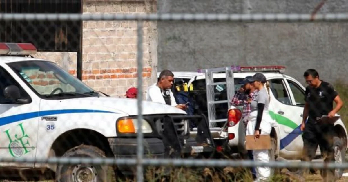 Meksikada fermadan 25 insan meyiti aşkarlanıb