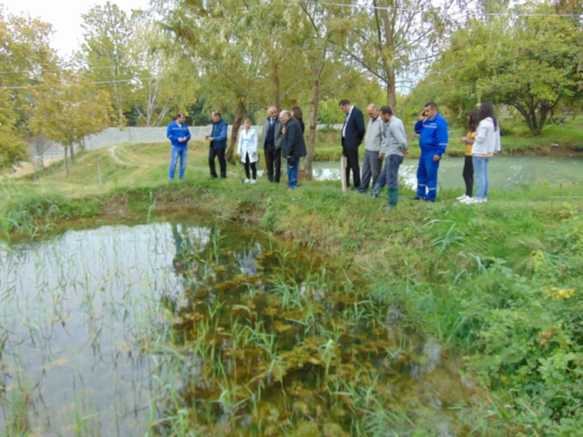 Zoologiya İnstitutu Mingəçevirdə dekorativ balıqlar və tibb zəlisi yetişdirir