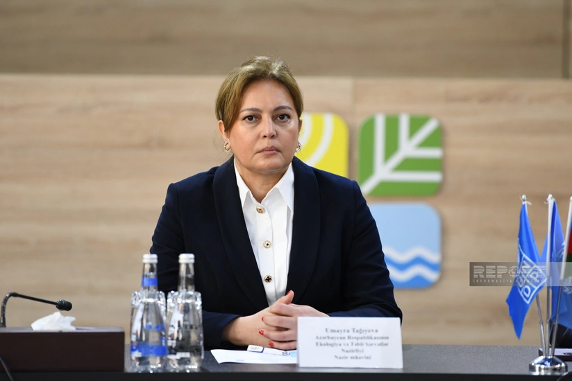 Умайра Тагиева: Уровень воды в реках увеличился