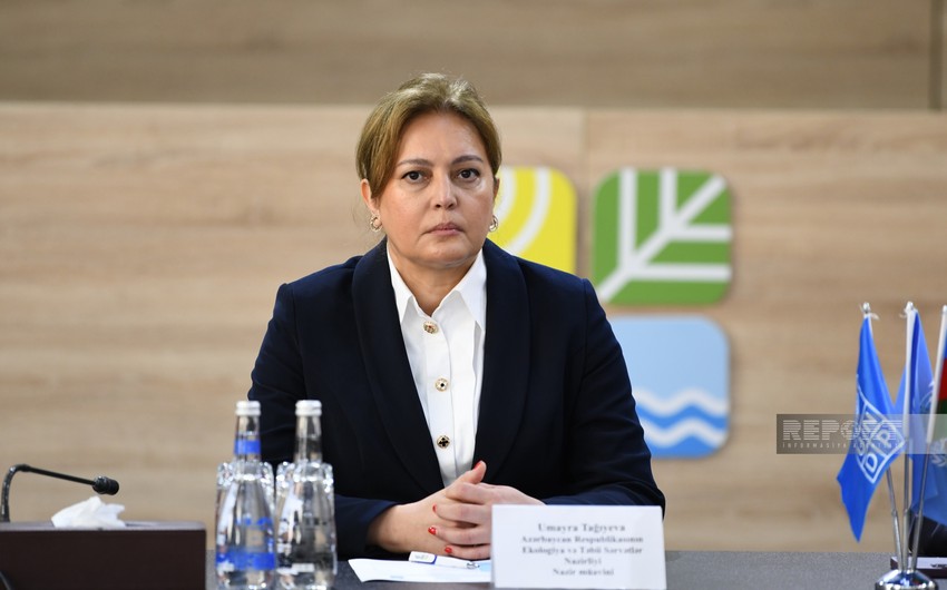 Umayra Tağıyeva: Çaylarımızda sululuq artıb