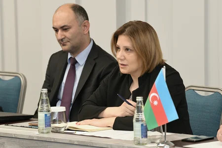 Fransız şirkətləri Azərbaycandakı nəqliyyat, kosmik sənaye sahəsində layihələrə maraq göstərir