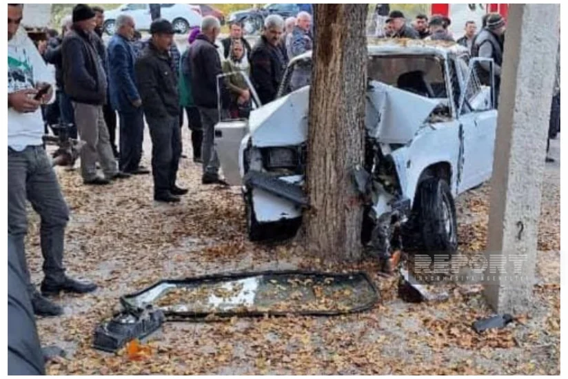 В Зардабе автомобиль врезался в дерево, есть погибший