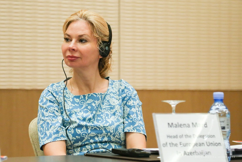 Malena Mard: “Gələn il Lənkaranda kənd təsərrüfatı layihəsinə başlayacağıq”