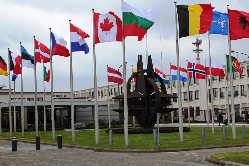 ​NATO daha çox siyasətlə məşğul olur və gecikir - ŞƏRH