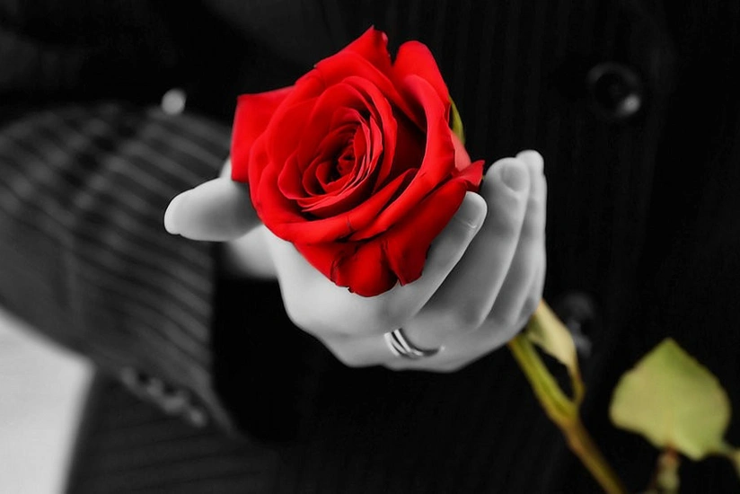 Azərbaycanda 8 martda doğulan qadınların sayı açıqlandı