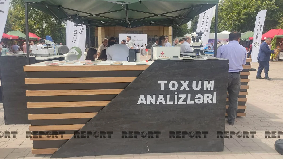Şəkidə toxum sərgi-satış yarmarkası keçirilib