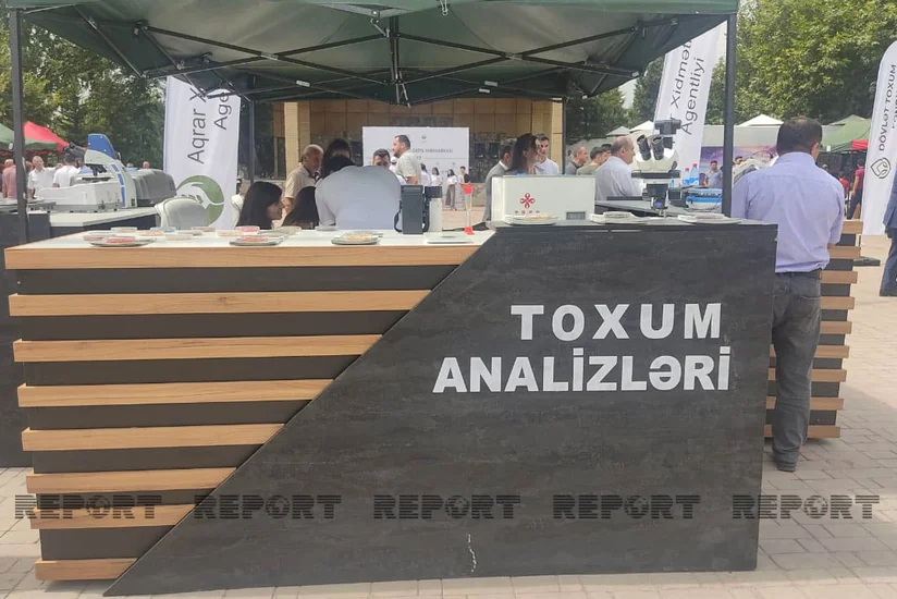 Şəkidə toxum sərgi-satış yarmarkası keçirilib