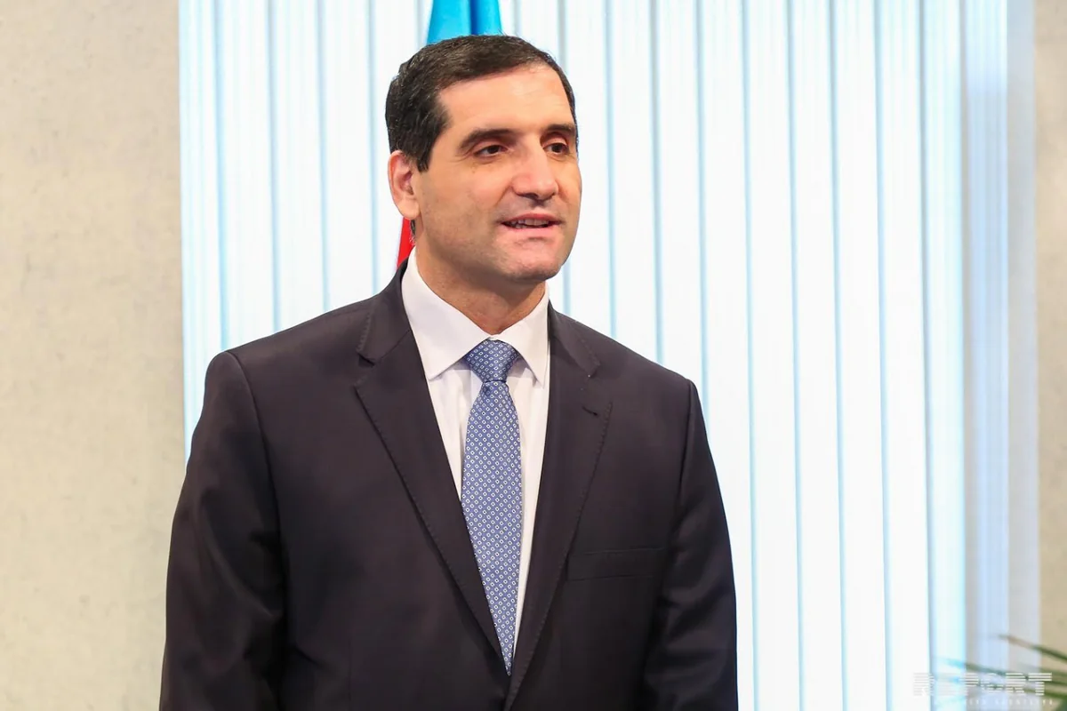 Turkish ambassador comments on possibility of joining Customs Union