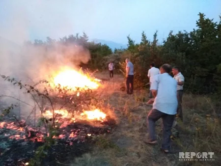 Şəkidə Meşə Təsərrüfatı Fonduna məxsus ərazidə güclü yanğın olub - FOTO - VİDEO