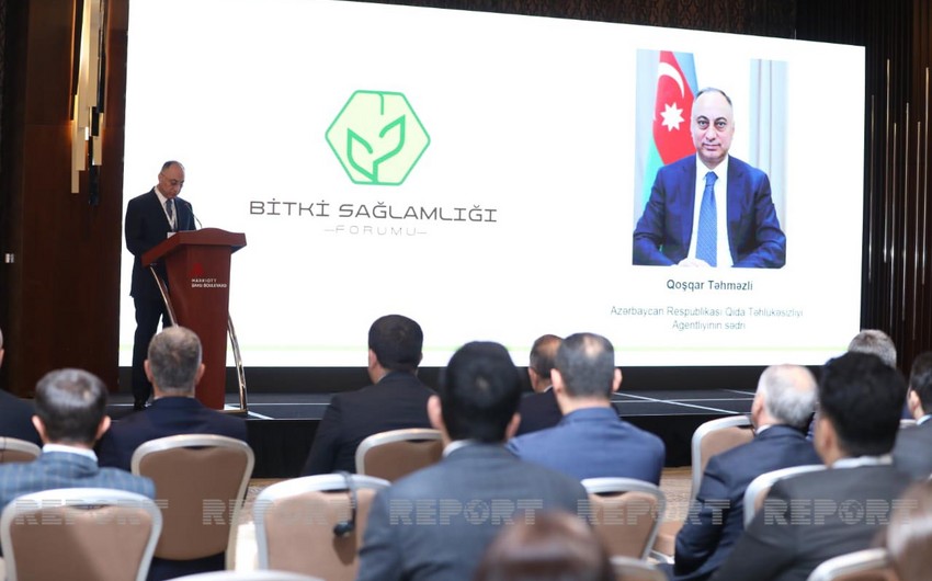 Bakıda ilk dəfə Bitki Sağlamlığı Forumu keçirilir
