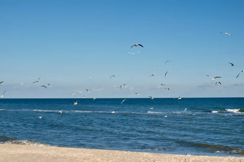Sabahın hava proqnozu açıqlanıb
