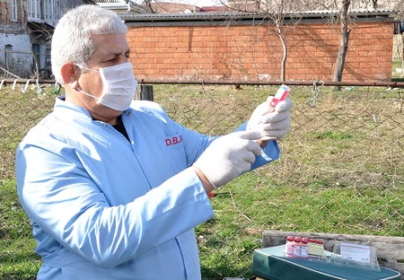 Balakəndə heyvanlar arasında profilaktik peyvəndləmə tədbirləri aparılır